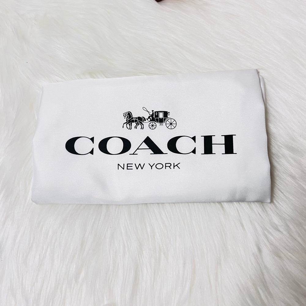 Disney x COACH Walt Disney World Tote Bag - Picture 8 of 11